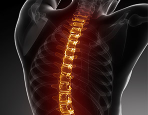 Back pain visual